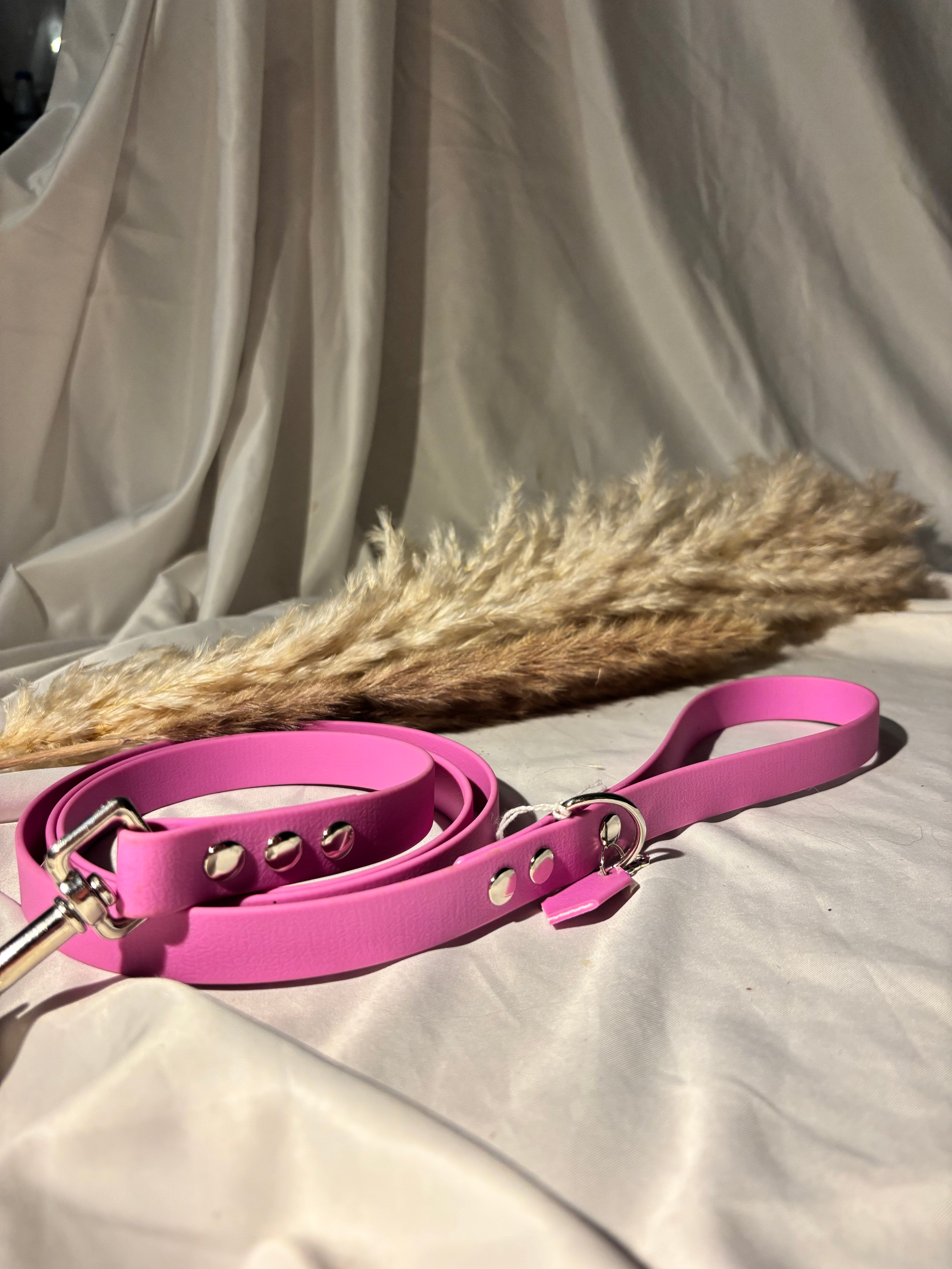Laisse violet 150 cm