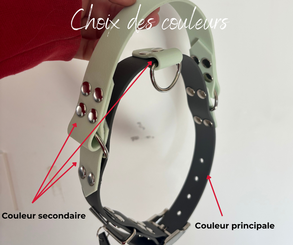 Collier Natural avec poignée rétractable double couleurs 25 MM