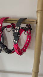 Collier Natural avec poignée rétractable 25MM