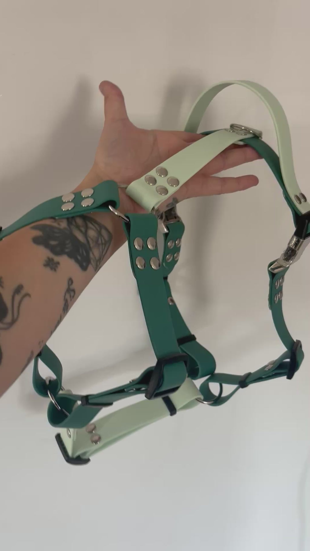 Harnais vert chasseur et vert d'eau 25MM