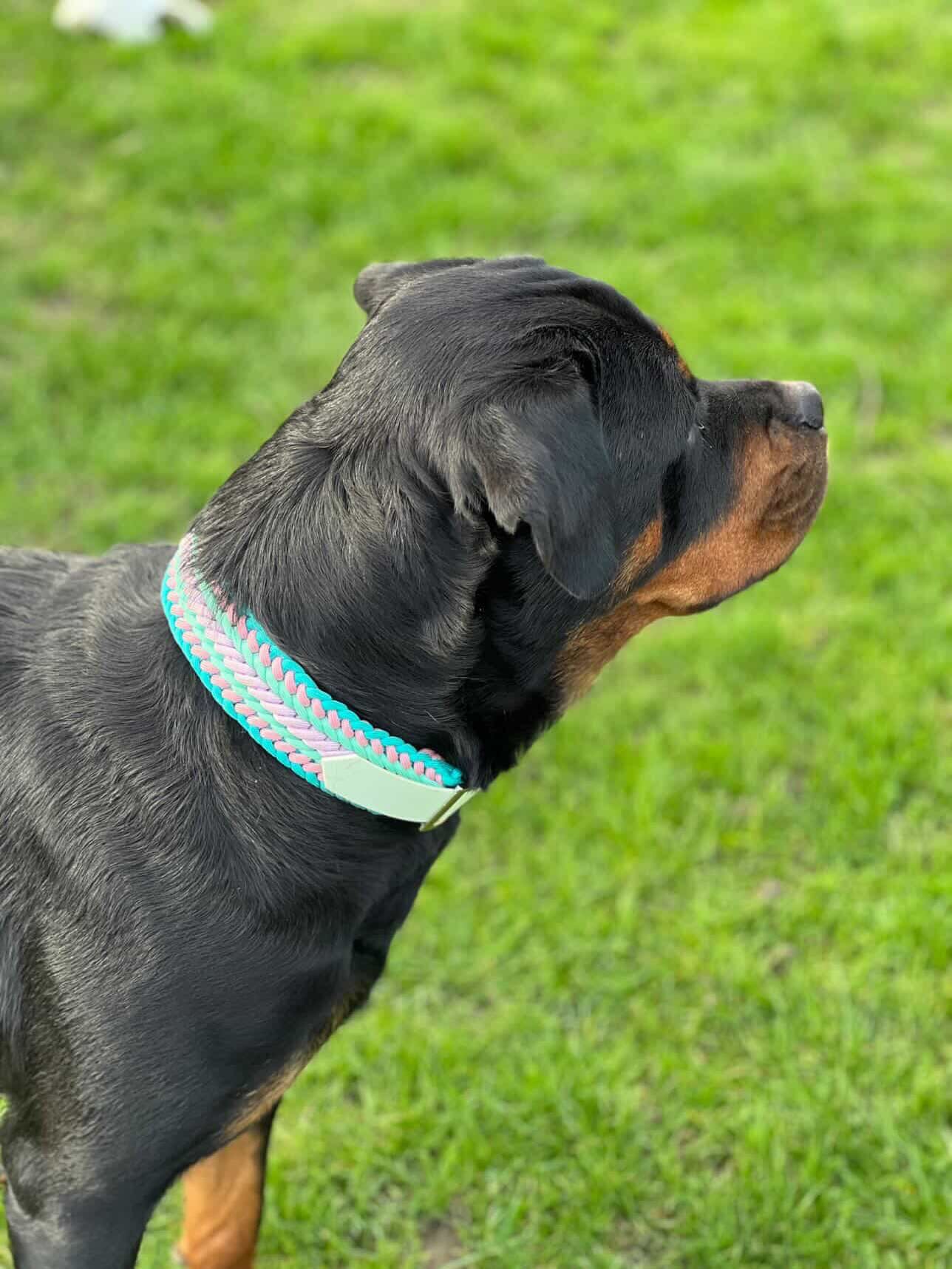 Elif avec collier en paracorde